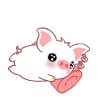 白白猪0064