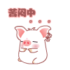 白白猪0065