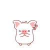 白白猪0069