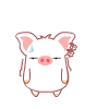 白白猪0081